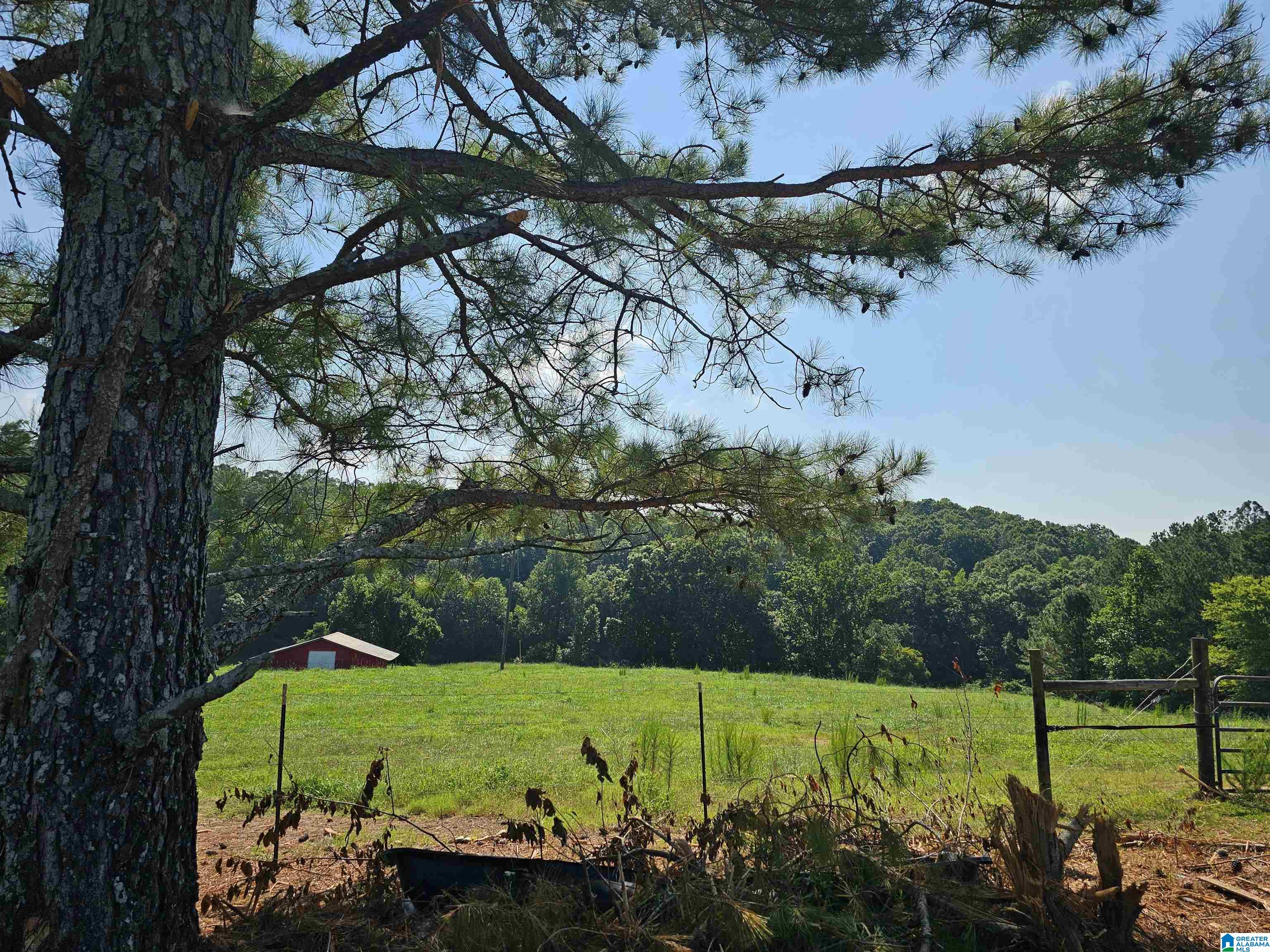 10 County Road 10 Ranburne, AL 36273 - Photo 5 of 11
