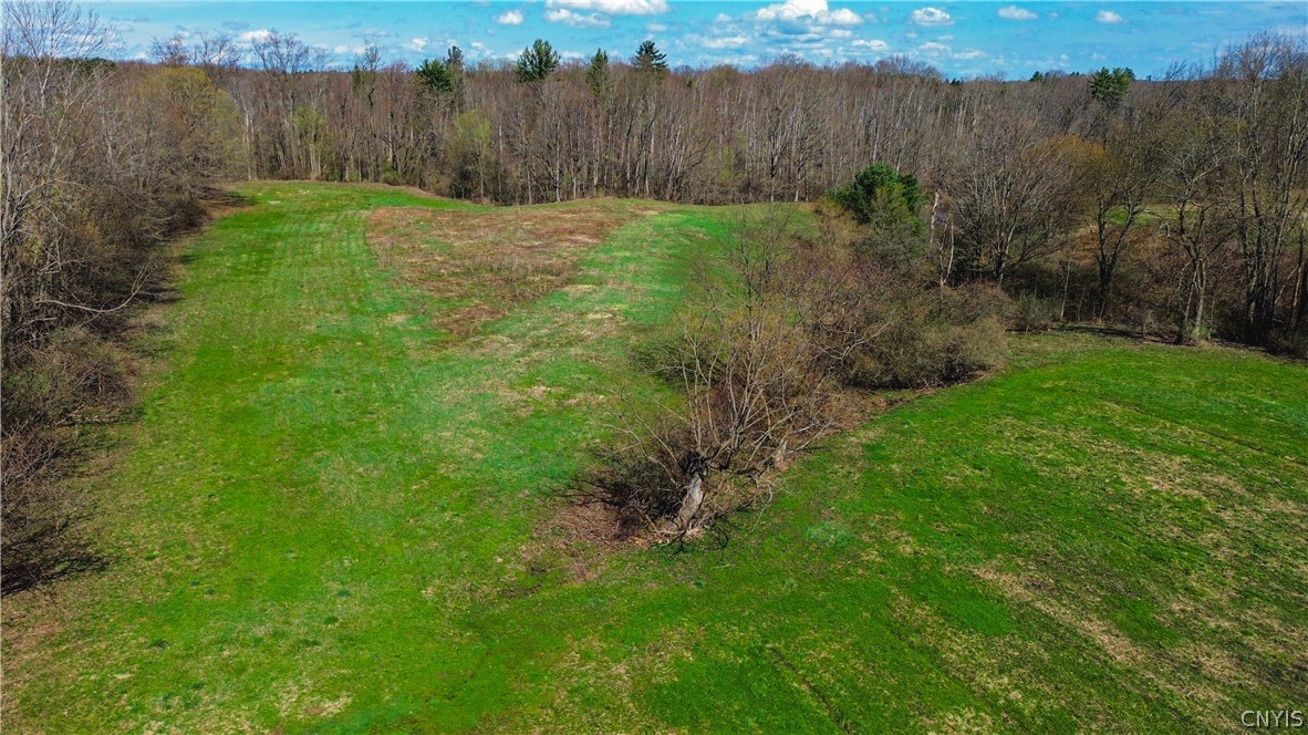 0 Lake Road Hamilton, NY 13346 - Photo 15 of 21