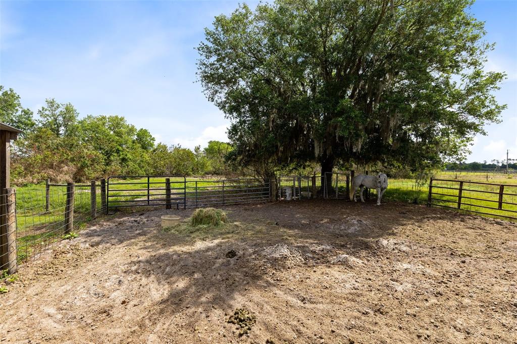 3591 North Canoe Creek Road Kenansville, FL 34739 - Photo 38 of 42 a view of a park