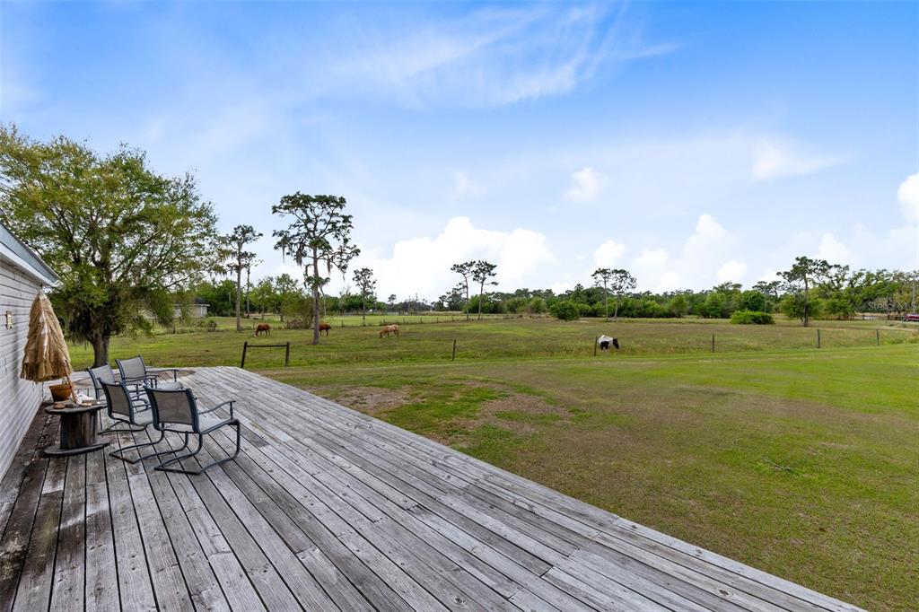 3591 North Canoe Creek Road Kenansville, FL 34739 - Photo 7 of 42 a view of a lake with a yard