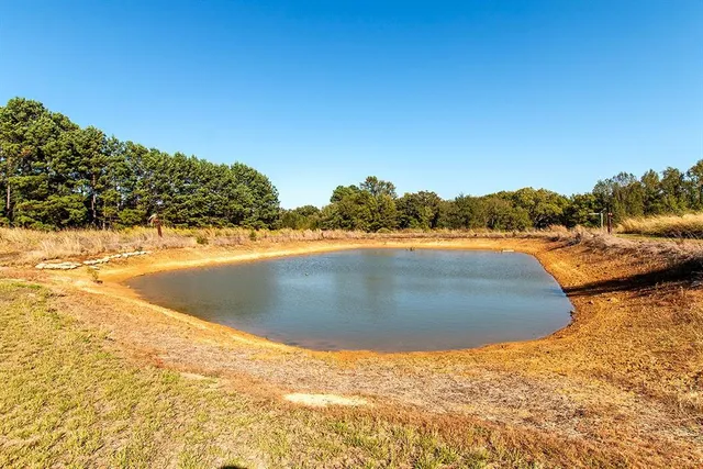 a view of an ocean beach