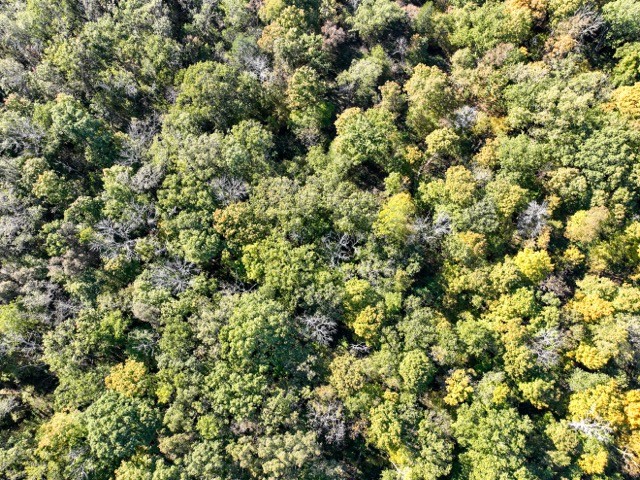 0 North Road Murfreesboro, TN 37128 - Photo 4 of 18 an aerial view of a houses with a tree