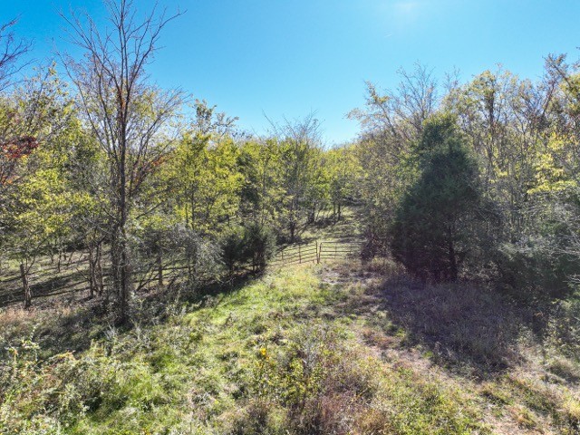 0 North Road Murfreesboro, TN 37128 - Photo 5 of 18 a backyard of a house with lots of green space
