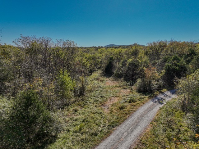 0 North Road Murfreesboro, TN 37128 - Photo 10 of 18 a view of a yard with trees in front of it