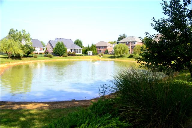 1606 Fair House Road Spring Hill, TN 37174 - Photo 19 of 20 Another View of The Pond!