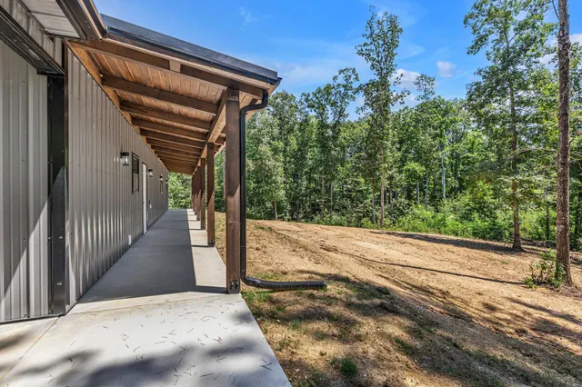 a view of backyard with green space