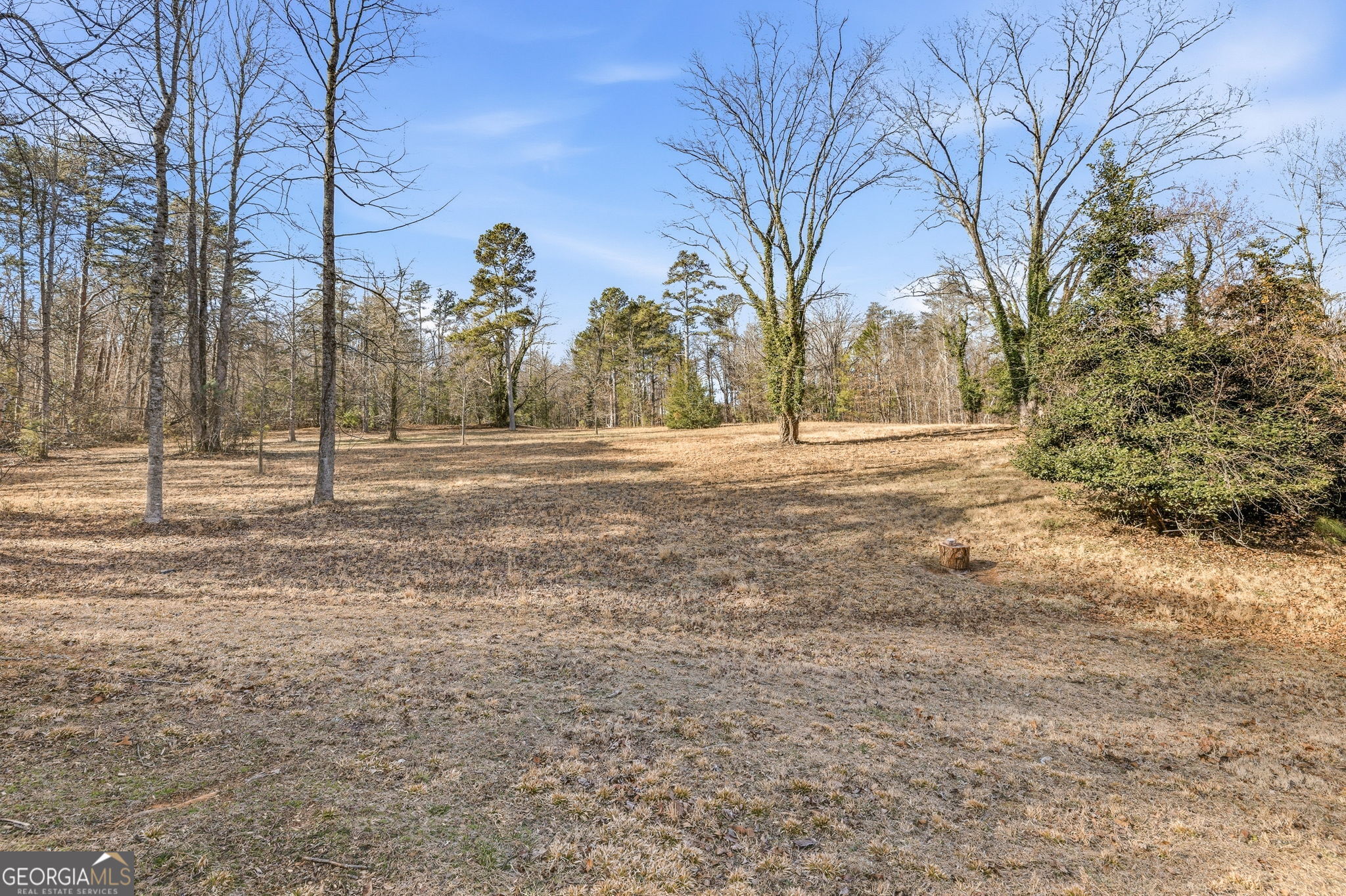 1046 Chase Road Cornelia, GA 30531 - Photo 49 of 61