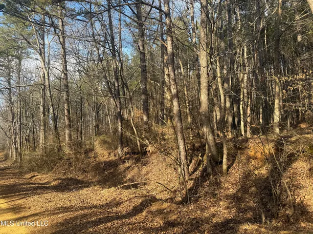 $305,950 | 404 County Road 373, Iuka, MS 38852