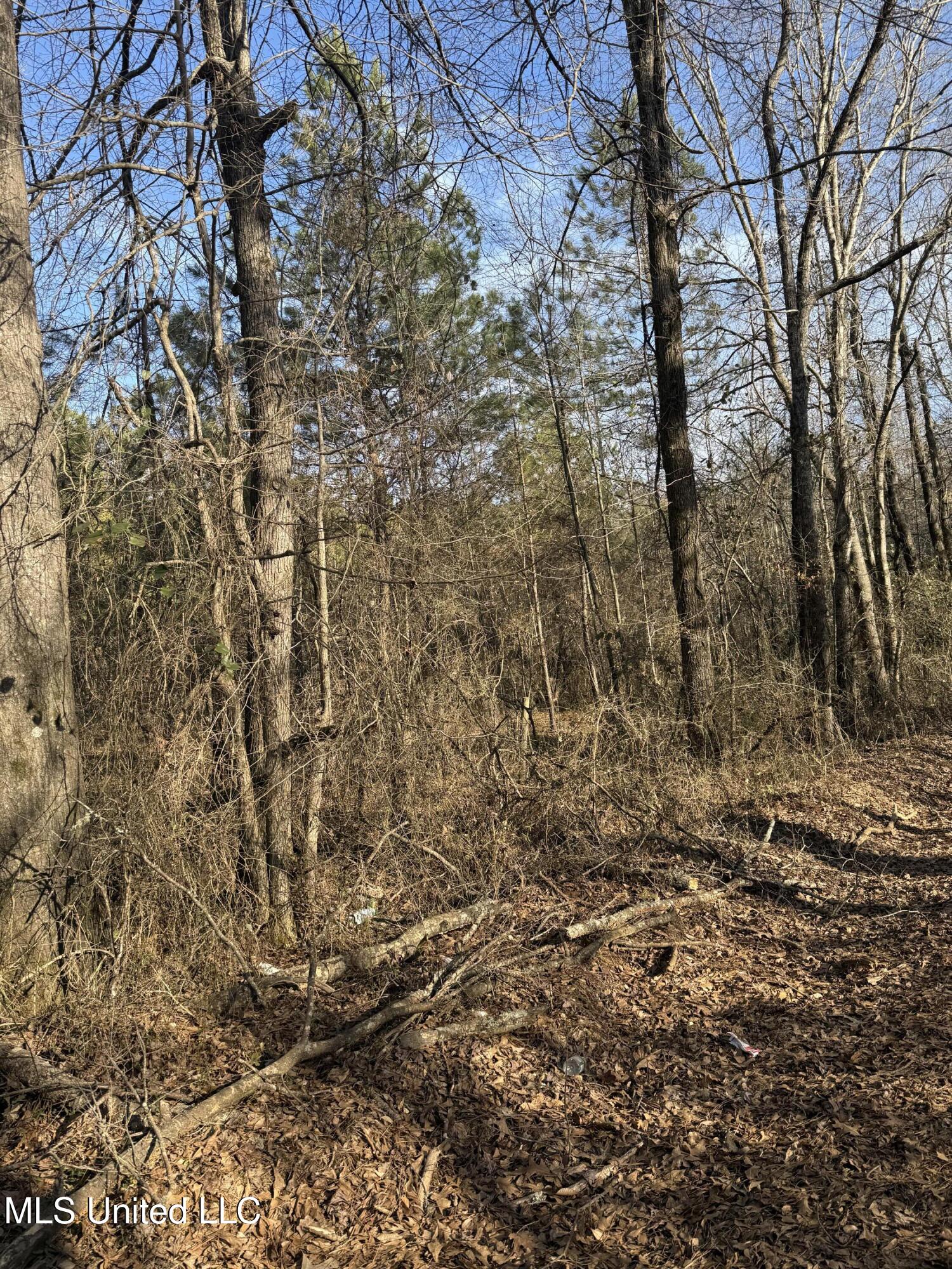 404 County Road 373 Iuka, MS 38852 - Photo 12 of 23 IMG_0341