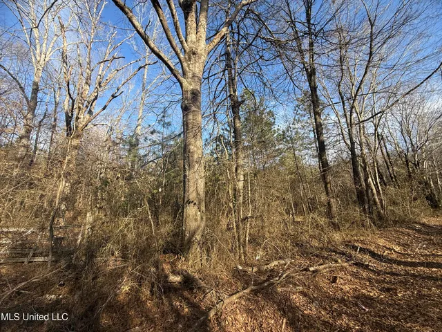 $305,950 | 404 County Road 373, Iuka, MS 38852