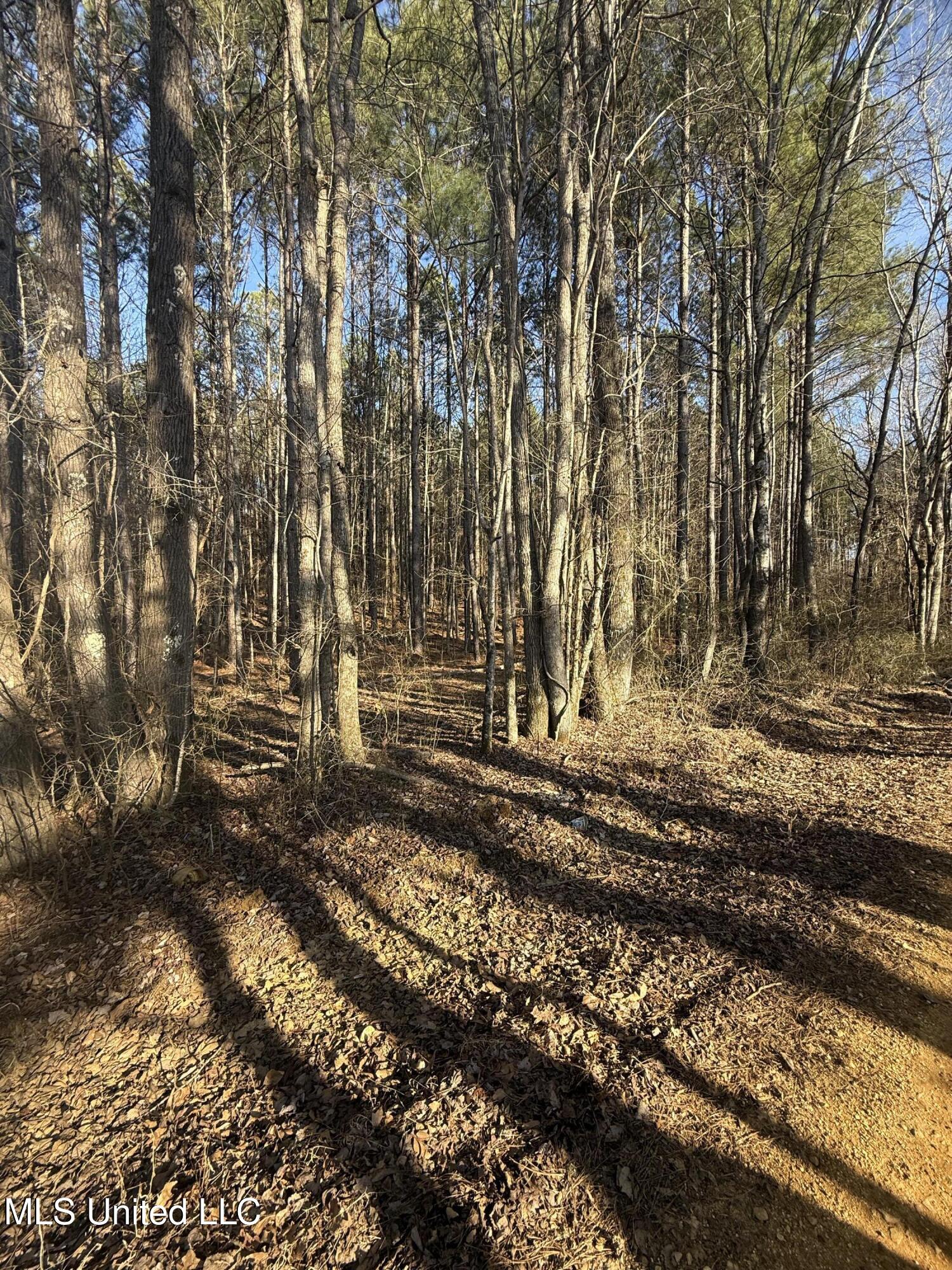 404 County Road 373 Iuka, MS 38852 - Photo 17 of 23 IMG_0347