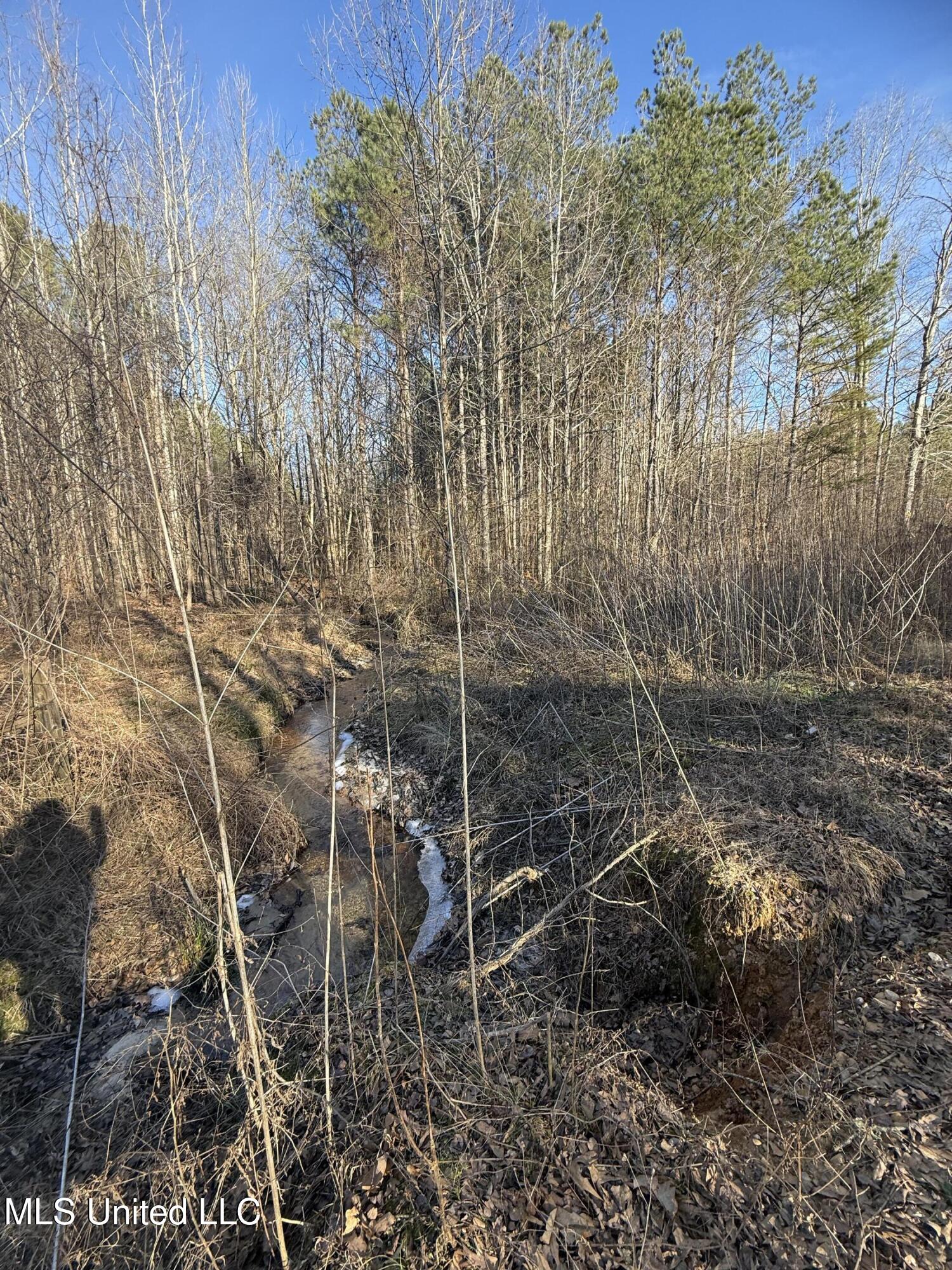 404 County Road 373 Iuka, MS 38852 - Photo 22 of 23 IMG_0352