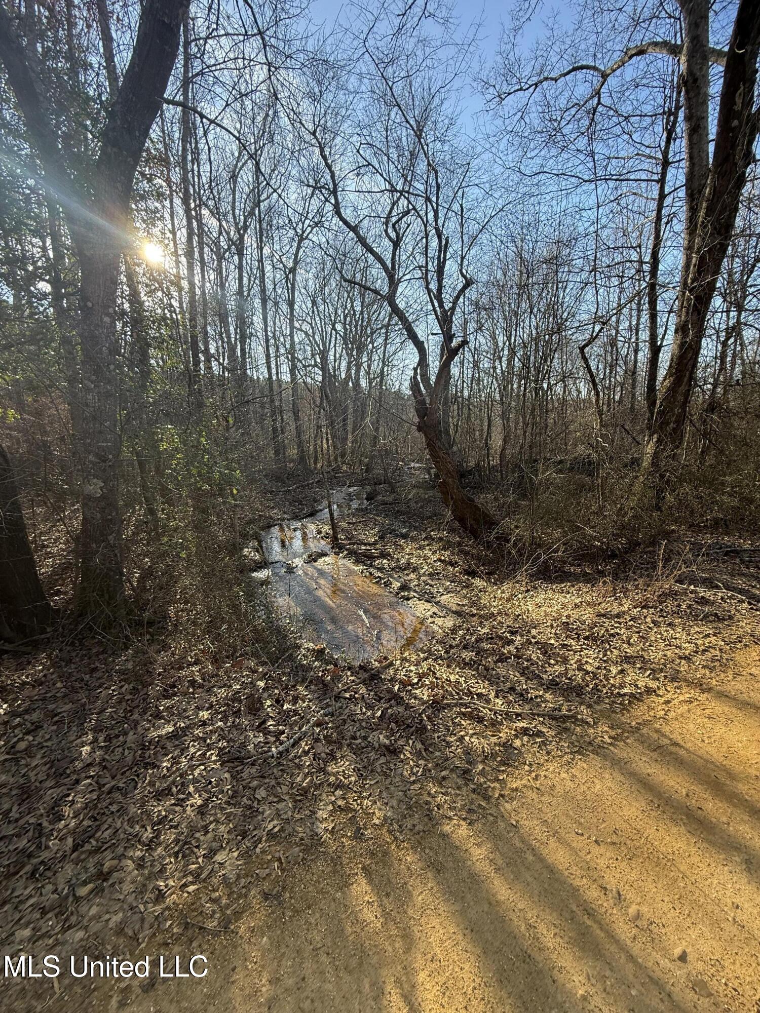 404 County Road 373 Iuka, MS 38852 - Photo 23 of 23 IMG_0353