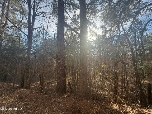 $305,950 | 404 County Road 373, Iuka, MS 38852