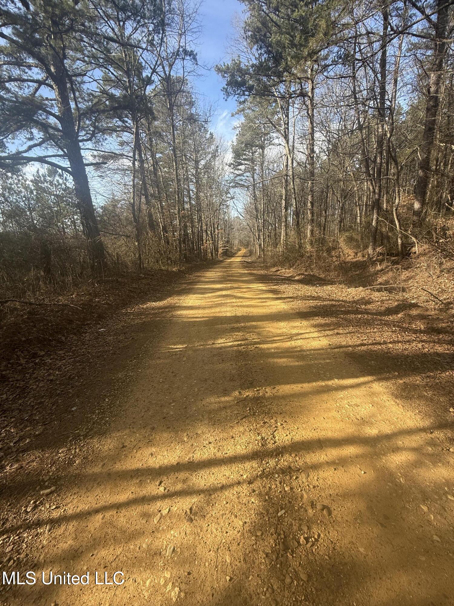 404 County Road 373 Iuka, MS 38852 - Photo 4 of 23 IMG_0331