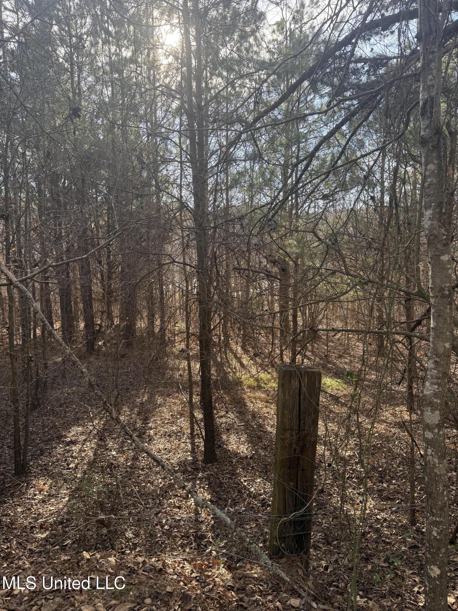 404 County Road 373 Iuka, MS 38852 - Photo 5 of 23 IMG_0332