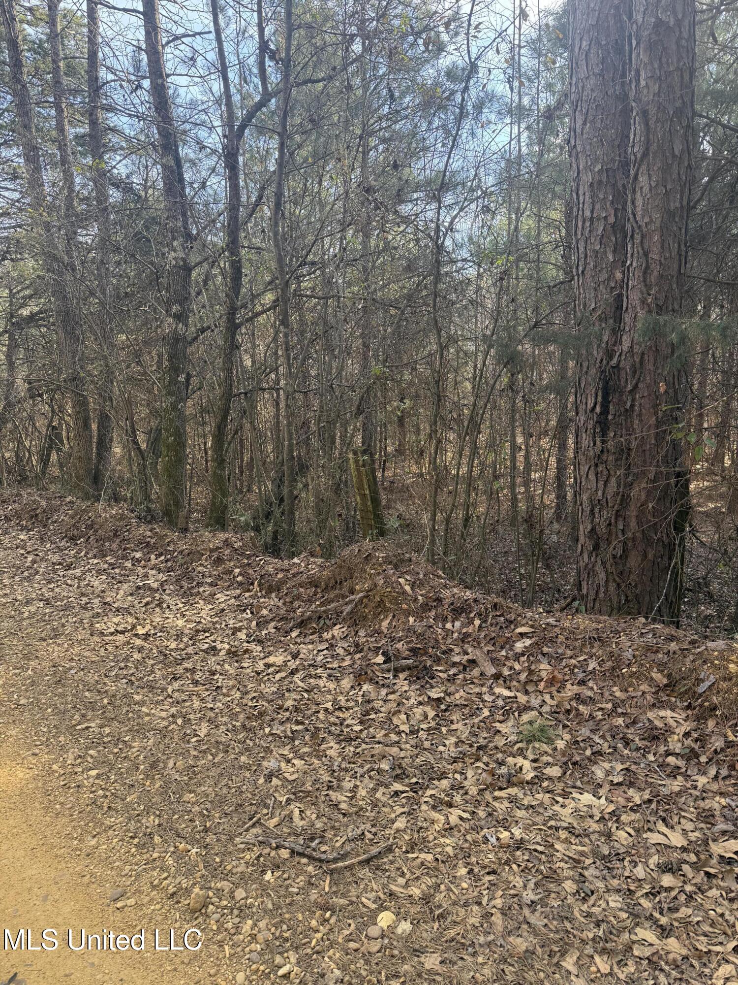 404 County Road 373 Iuka, MS 38852 - Photo 7 of 23 IMG_0335