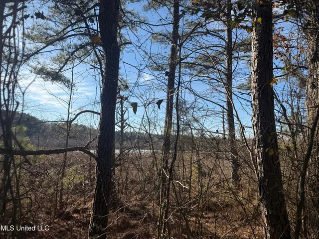 $305,950 | 404 County Road 373, Iuka, MS 38852