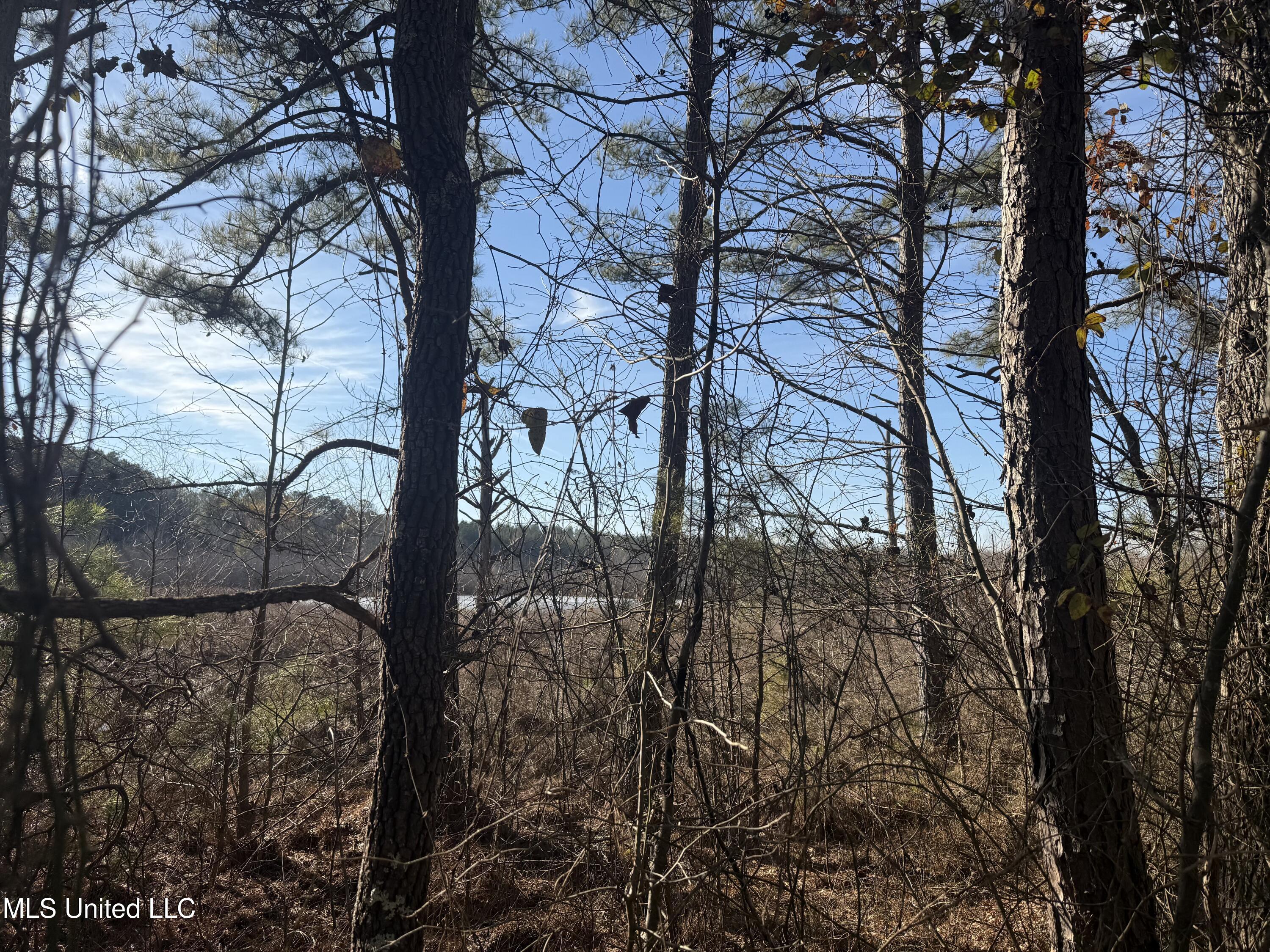 404 County Road 373 Iuka, MS 38852 - Photo 8 of 23 IMG_0337