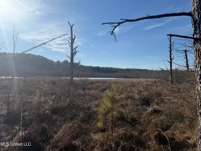 $305,950 | 404 County Road 373, Iuka, MS 38852