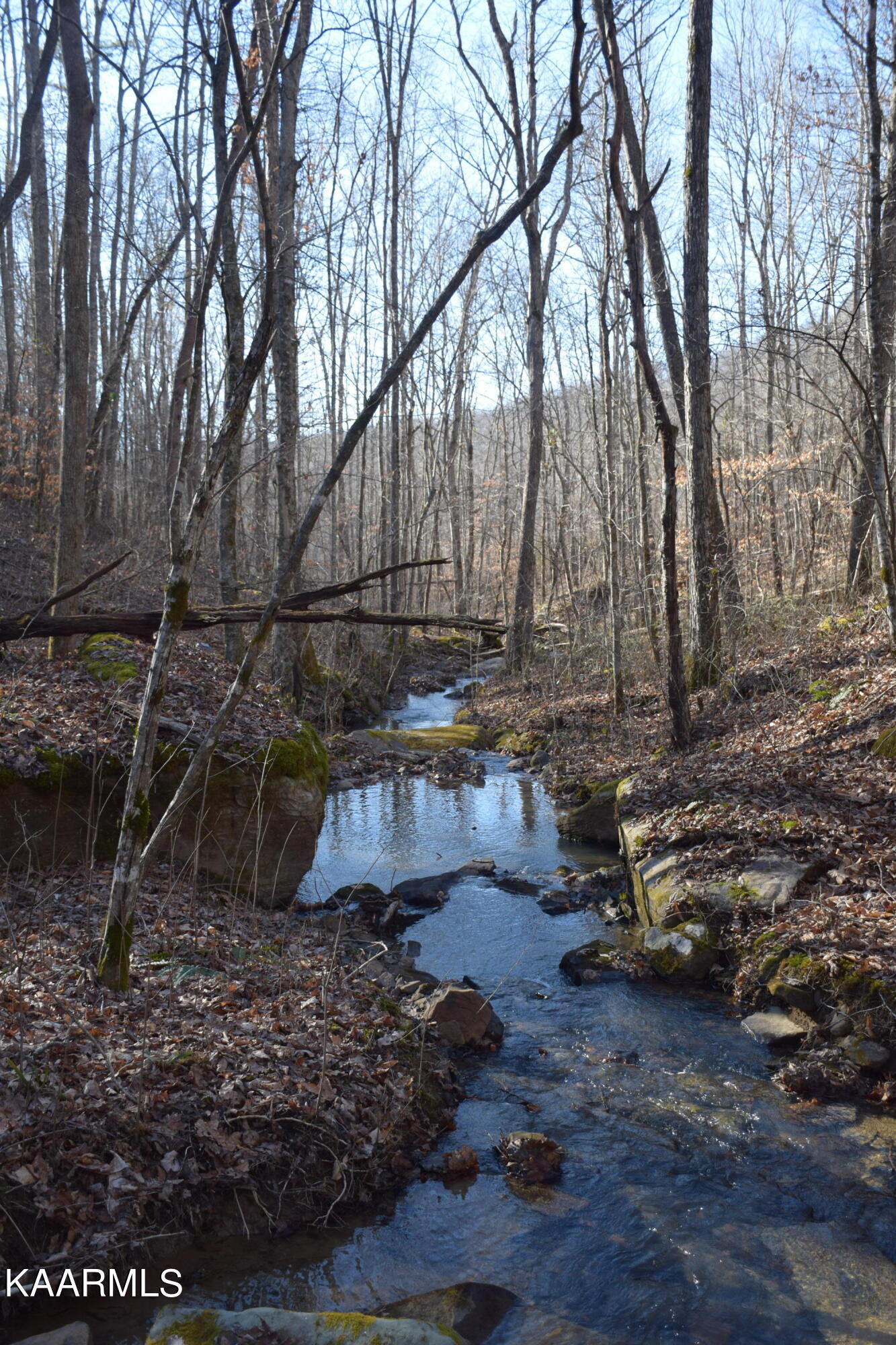 662 Mountain View Road Robbins, TN 37852 - Photo 11 of 16 Creek