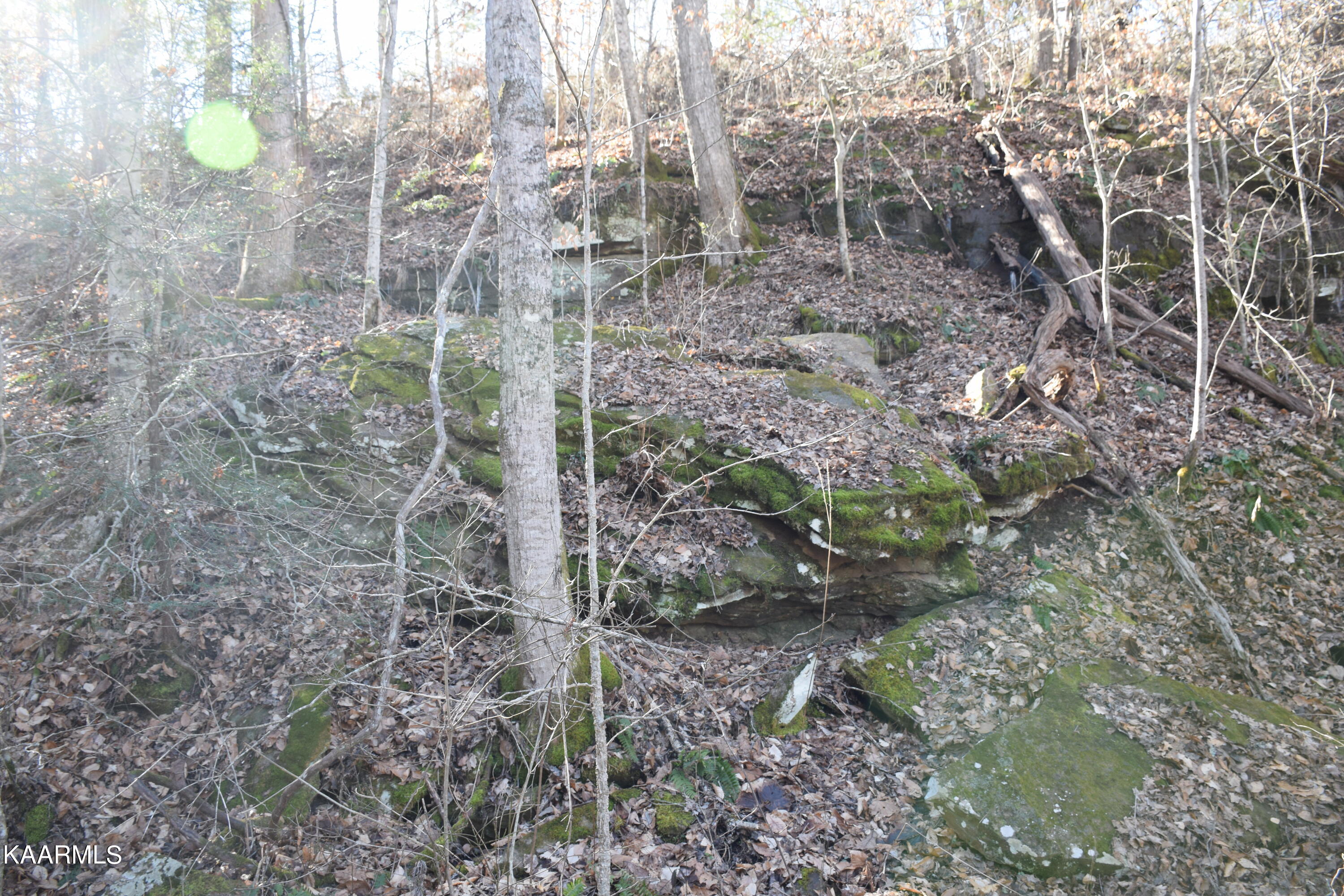 662 Mountain View Road Robbins, TN 37852 - Photo 12 of 16 Rocks