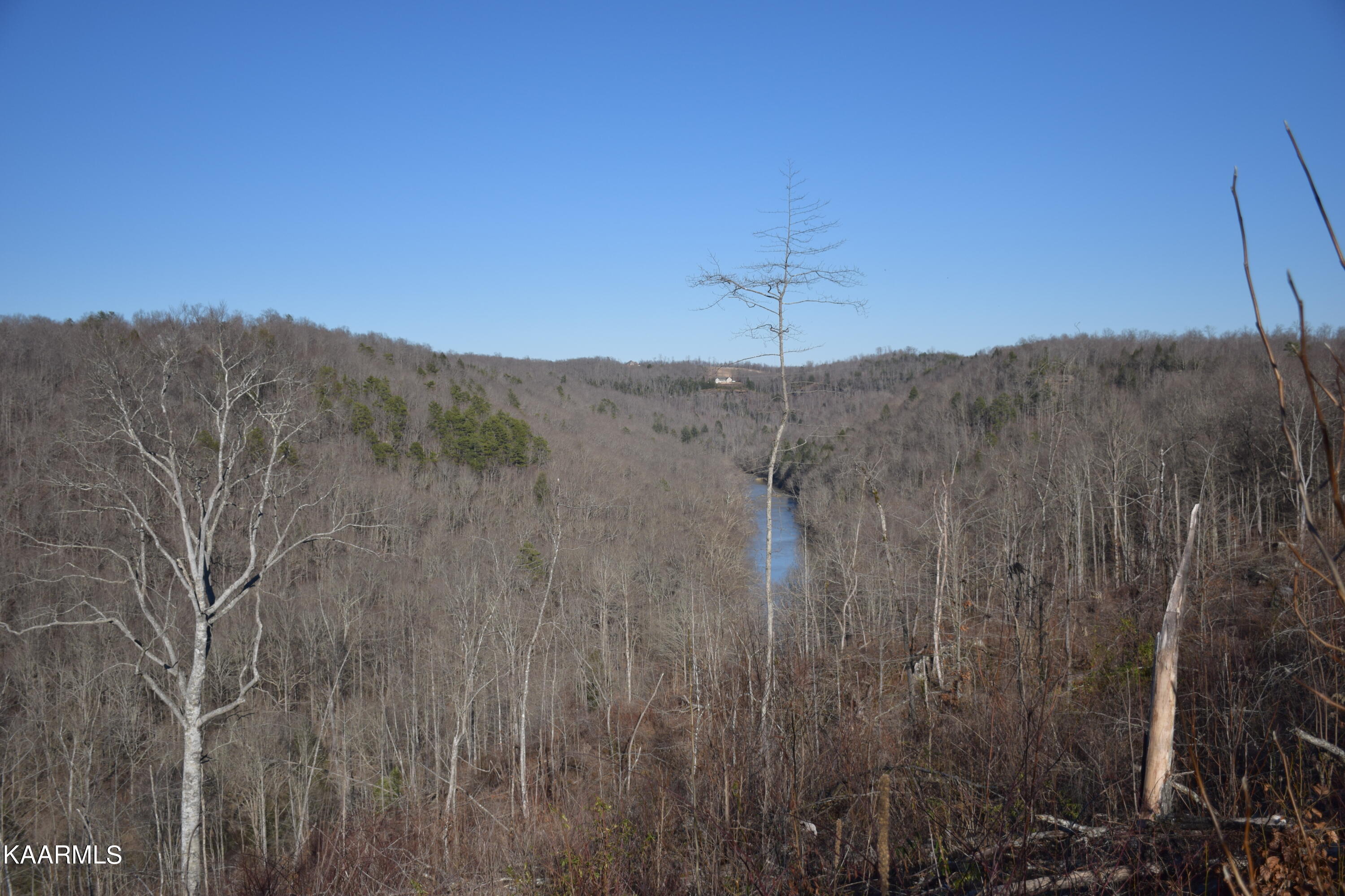 662 Mountain View Road Robbins, TN 37852 - Photo 13 of 16 Big Views