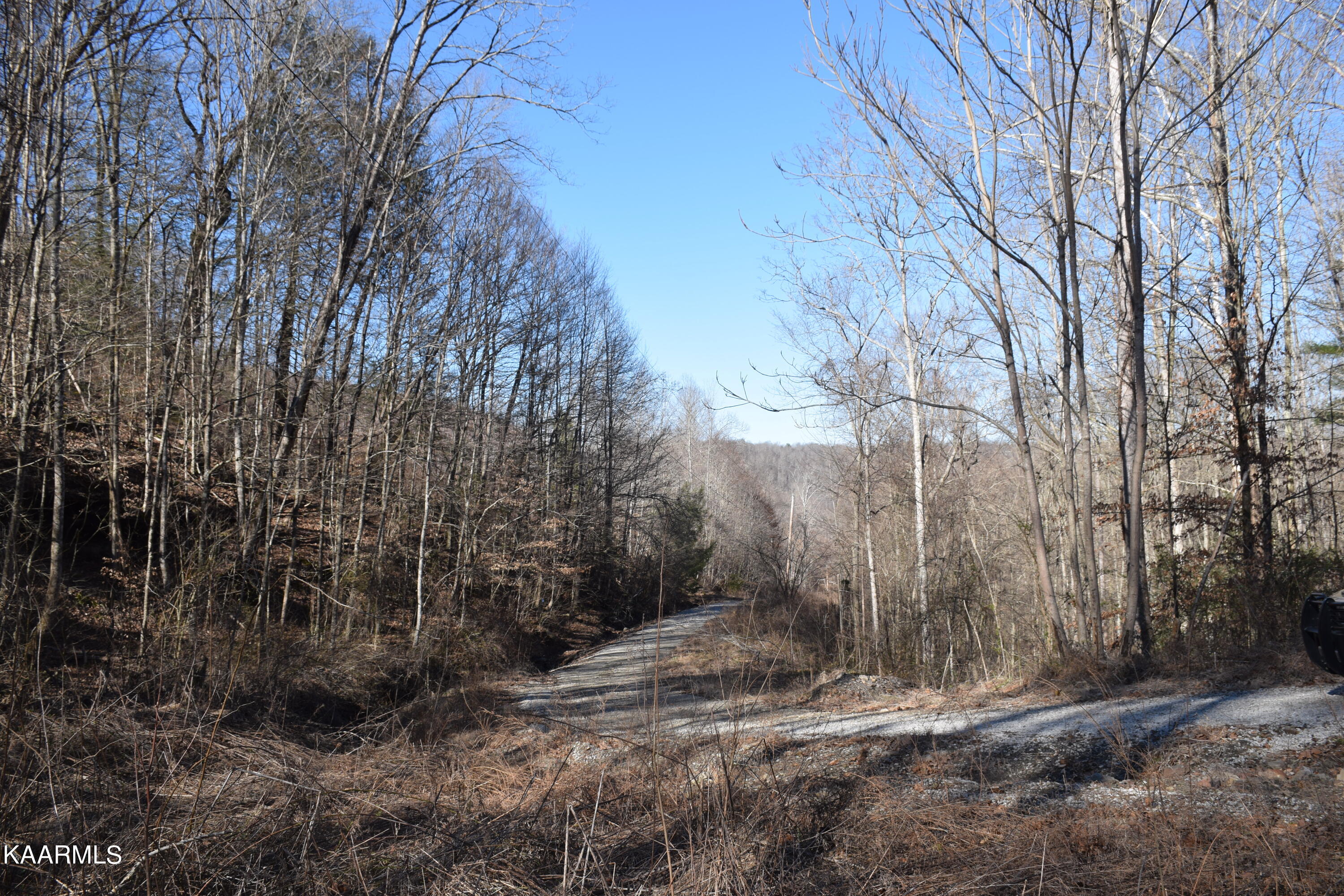 662 Mountain View Road Robbins, TN 37852 - Photo 15 of 16 Entrance Rd