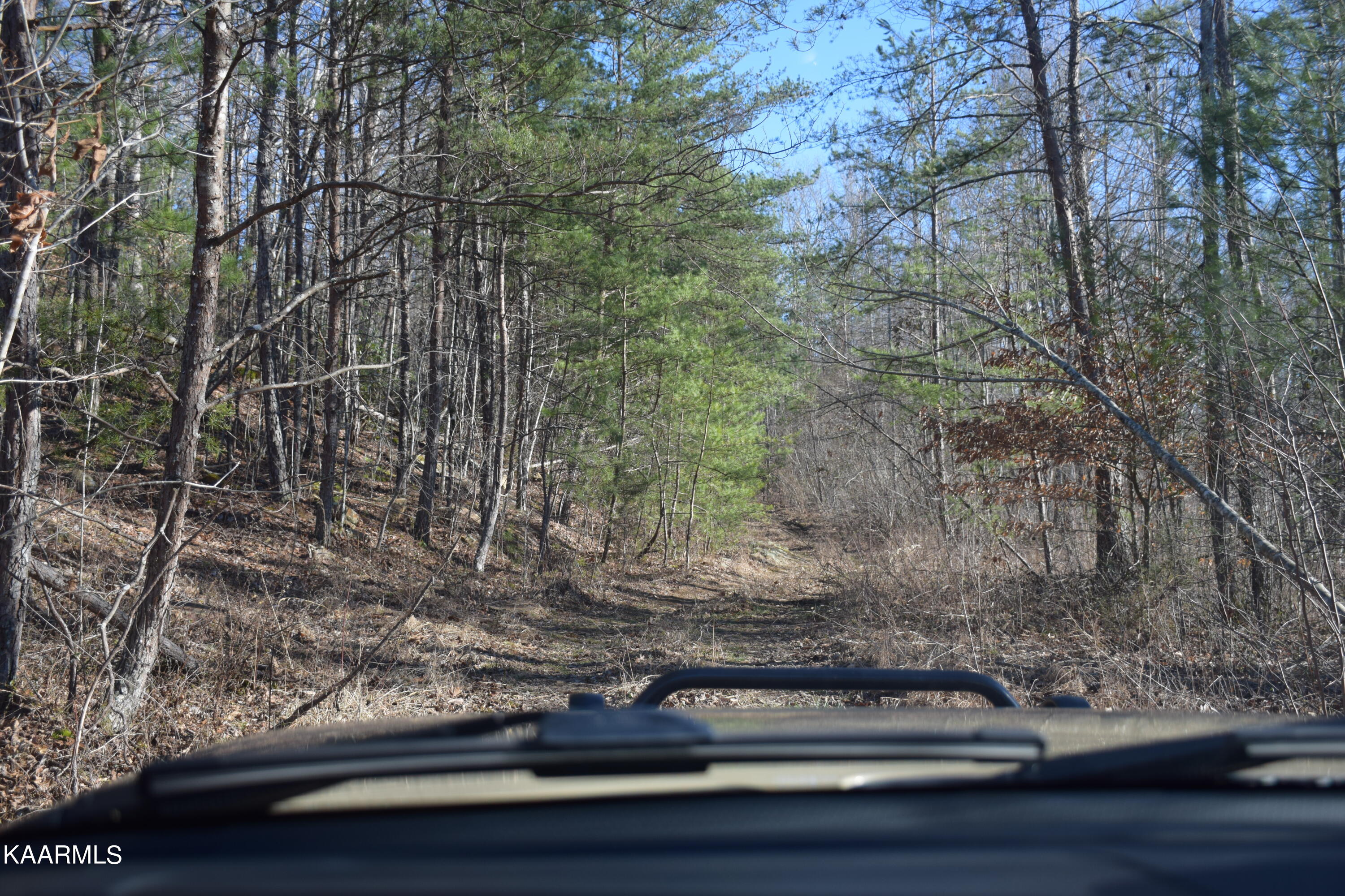662 Mountain View Road Robbins, TN 37852 - Photo 3 of 16 Trails