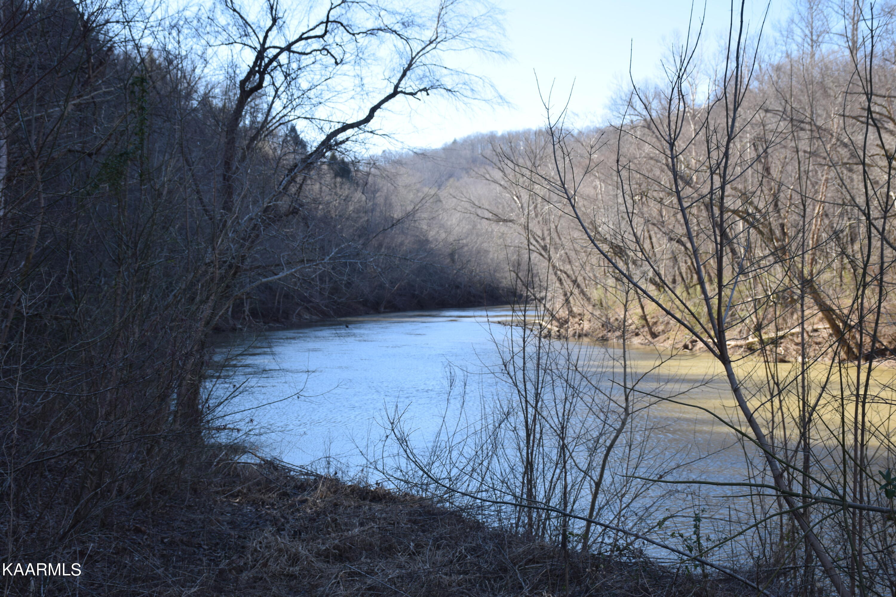 662 Mountain View Road Robbins, TN 37852 - Photo 6 of 16 Big Water