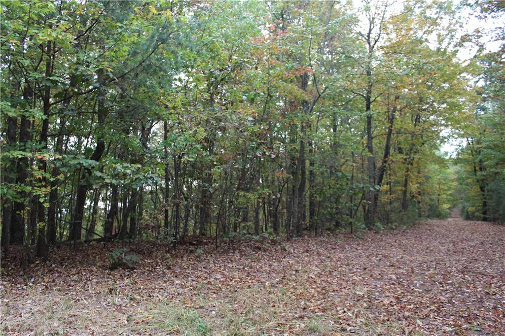 Lot 19 Owl Mountain Road Ellijay, GA 30536 - Photo 11 of 25 a view of a forest with trees in the background
