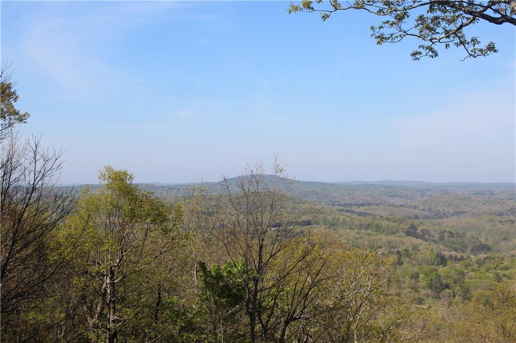 Lot 19 Owl Mountain Road Ellijay, GA 30536 - Photo 14 of 25 a view of a field with a tree in the background