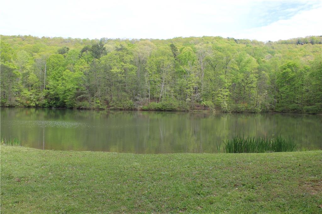 Lot 19 Owl Mountain Road Ellijay, GA 30536 - Photo 20 of 25 a view of a lake with mountain in the background
