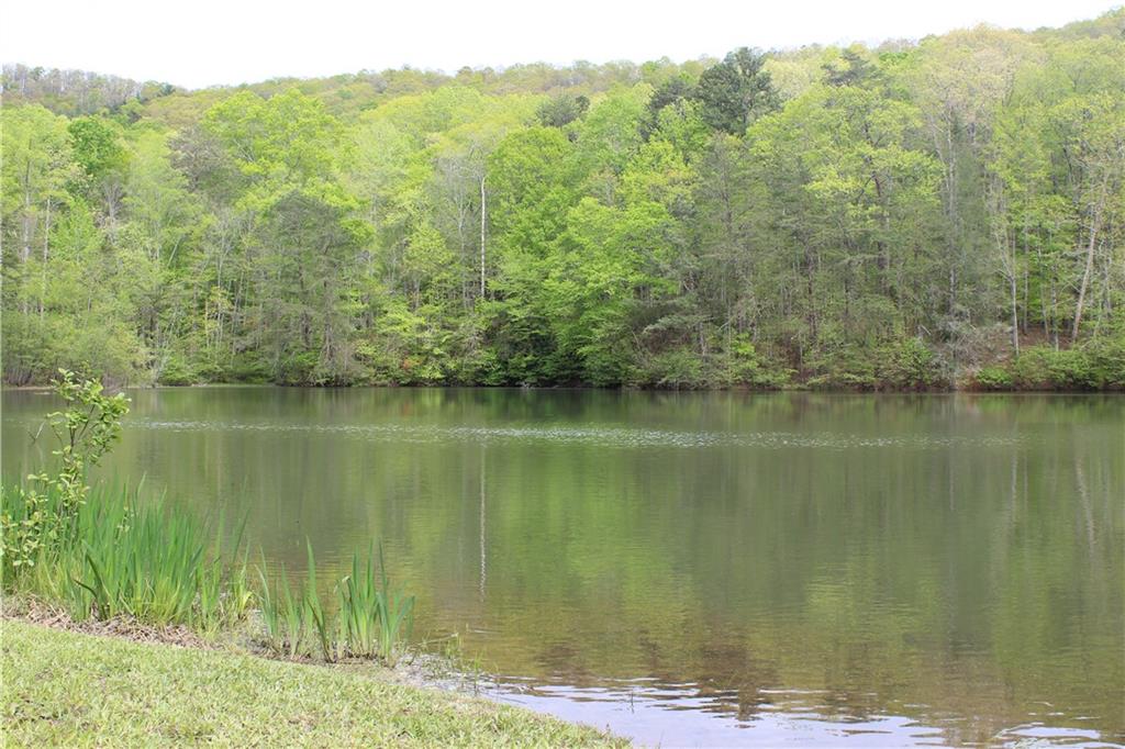 Lot 19 Owl Mountain Road Ellijay, GA 30536 - Photo 23 of 25 a view of a lake with a mountain