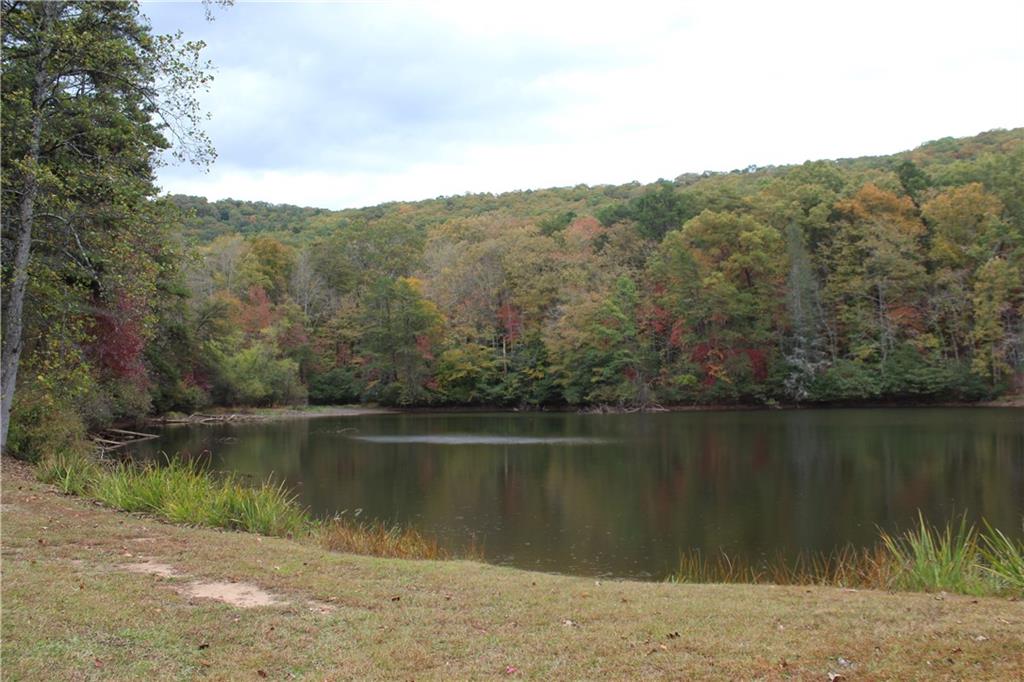 Lot 19 Owl Mountain Road Ellijay, GA 30536 - Photo 24 of 25 a view of a lake in middle of forest
