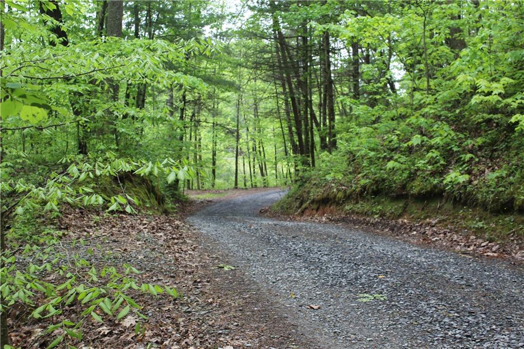 Lot 19 Owl Mountain Road Ellijay, GA 30536 - Photo 25 of 25 a view of a yard with plants and trees