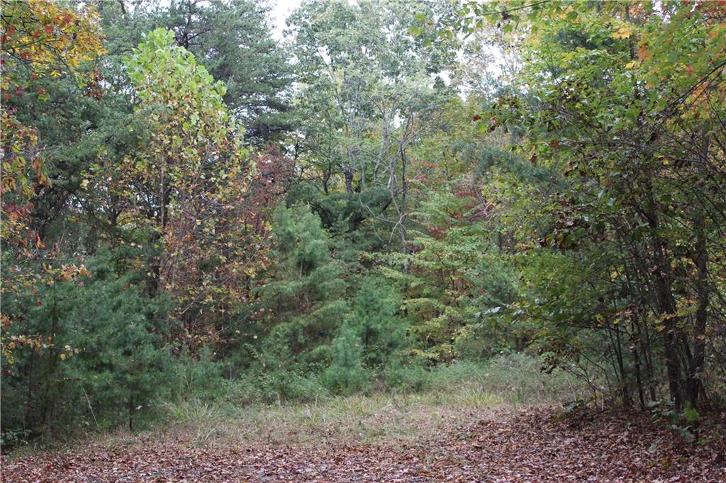 Lot 19 Owl Mountain Road Ellijay, GA 30536 - Photo 10 of 25 a view of a forest with trees all around