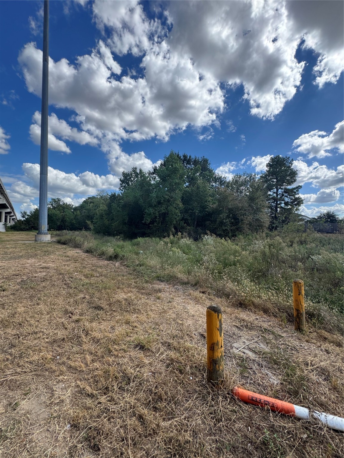 28351 West Hardy Road Spring, TX 77373 - Photo 19 of 28 a backyard of a house with lots of green space