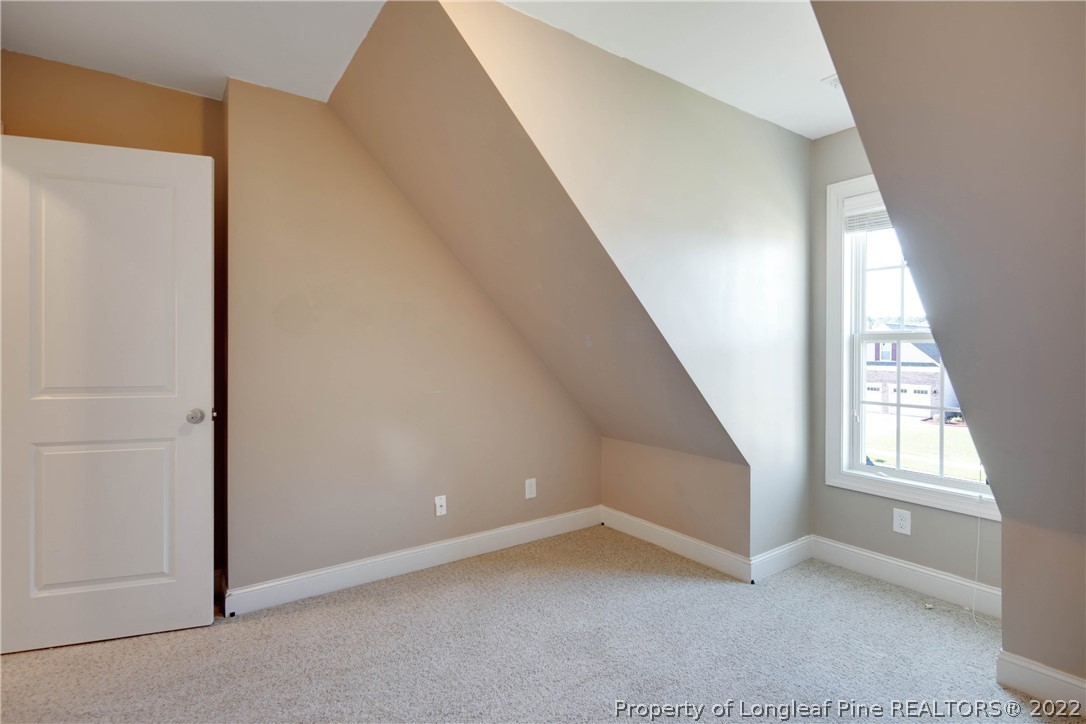261 St Johns Loop Raeford, NC 28376 - Photo 38 of 50 Gallery Image 38