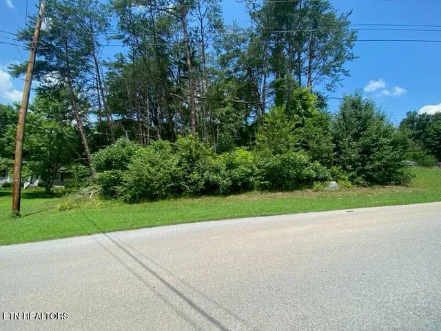 $42,000 | Lot 6 Scenic View Drive, Rutledge, TN 37861