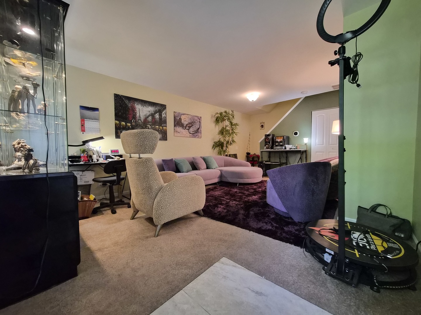 1516 Normantown Road, Unit 1516 Naperville, IL 60564 - Photo 5 of 21