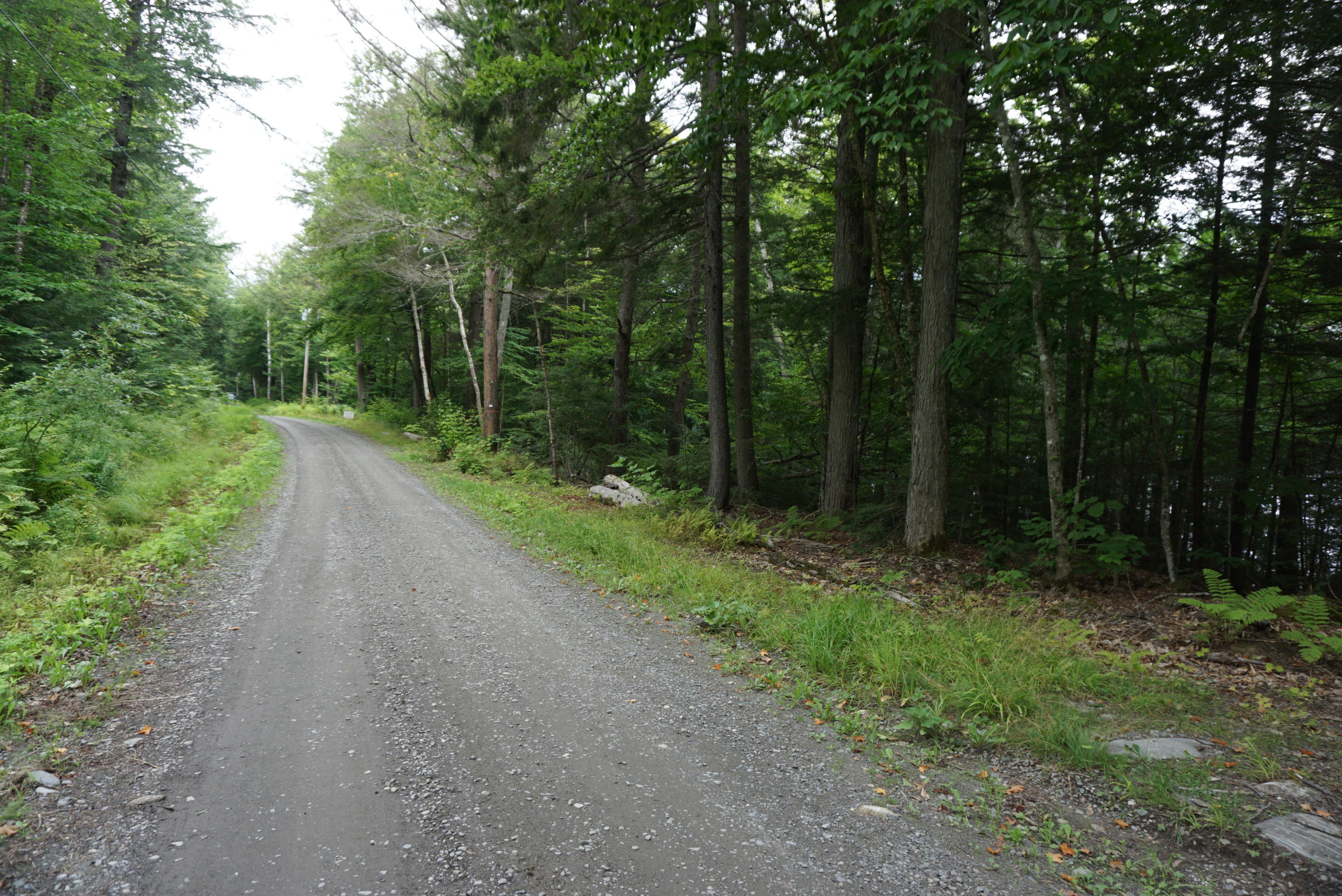 Lot #23 Sebec Shores Willimantic, ME 04443 - Photo 2 of 4 DSC01530