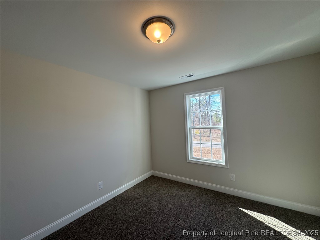 3485 Arabia Road Raeford, NC 28376 - Photo 23 of 30 Gallery Image 23