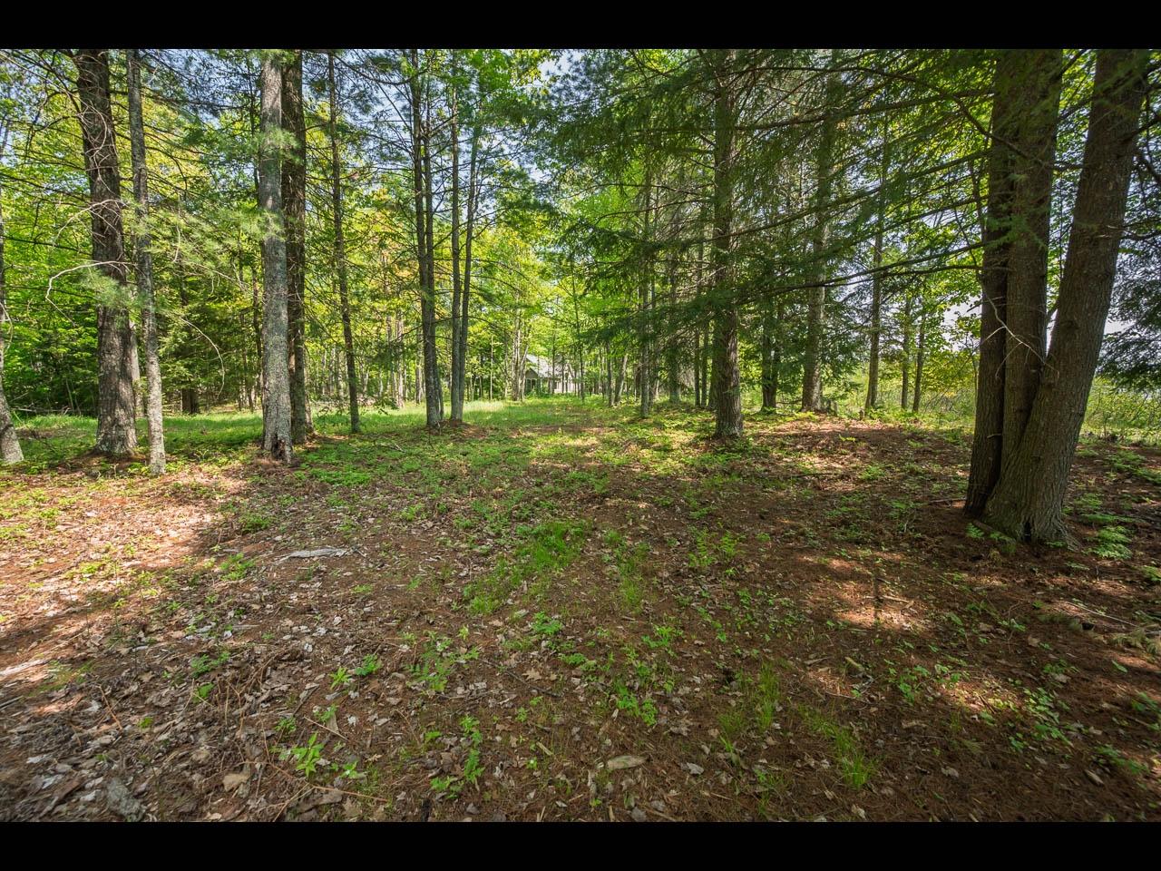 Lot 13 Memory Lane Eagle River, WI 54521 - Photo 10 of 40 Gallery Image 10