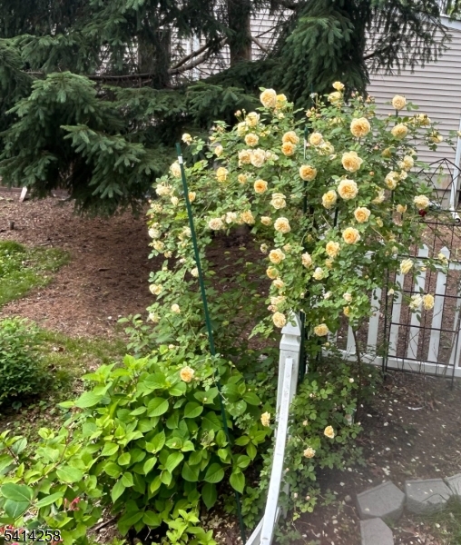 237 Tabor Road Morris Plains, NJ 07950 - Photo 34 of 39