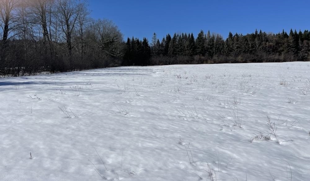 123 Highway 5, Unit 4 Westminster, VT 05346 - Photo 11 of 11