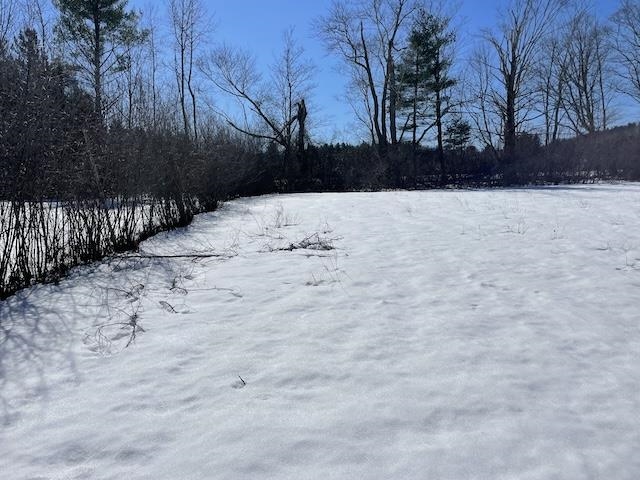 123 Highway 5, Unit 4 Westminster, VT 05346 - Photo 10 of 11