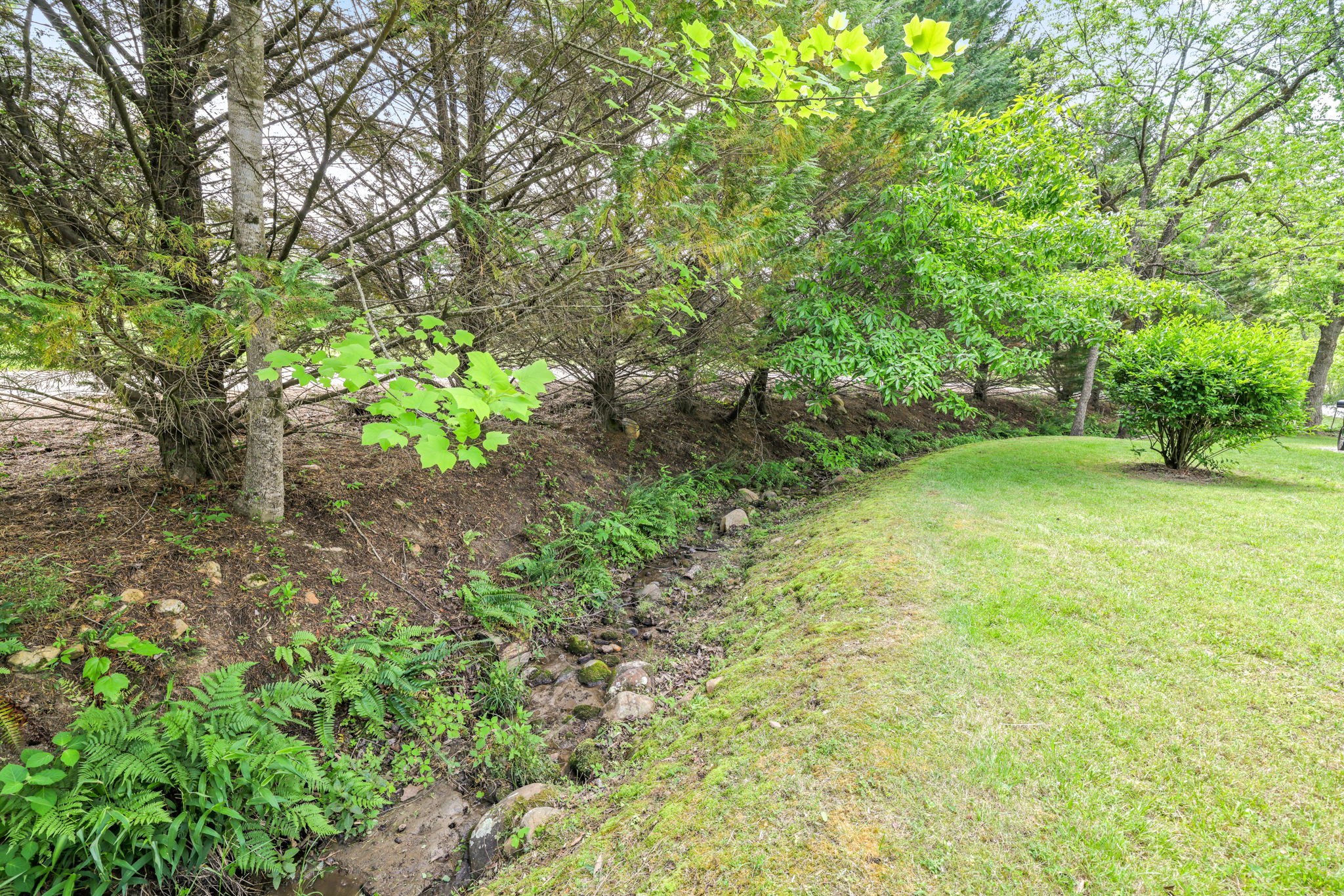 19 Quail Ridge Trail Franklin, NC 28734 - Photo 26 of 37 Gallery Image 26