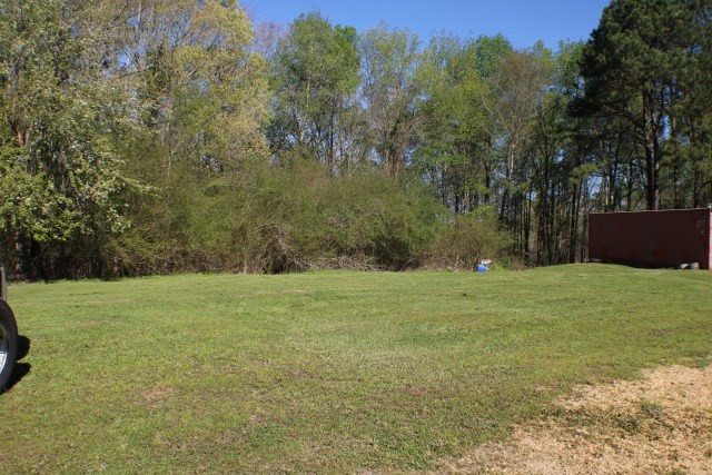 258-lem Lem Sullivan Road Pinola, MS 39149 - Photo 15 of 16 Photo 15