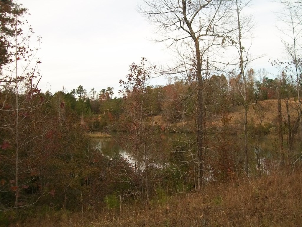 Parcel # 2 Parcel Road Waverly Hall, GA 31831 - Photo 3 of 5 Gallery Image 3